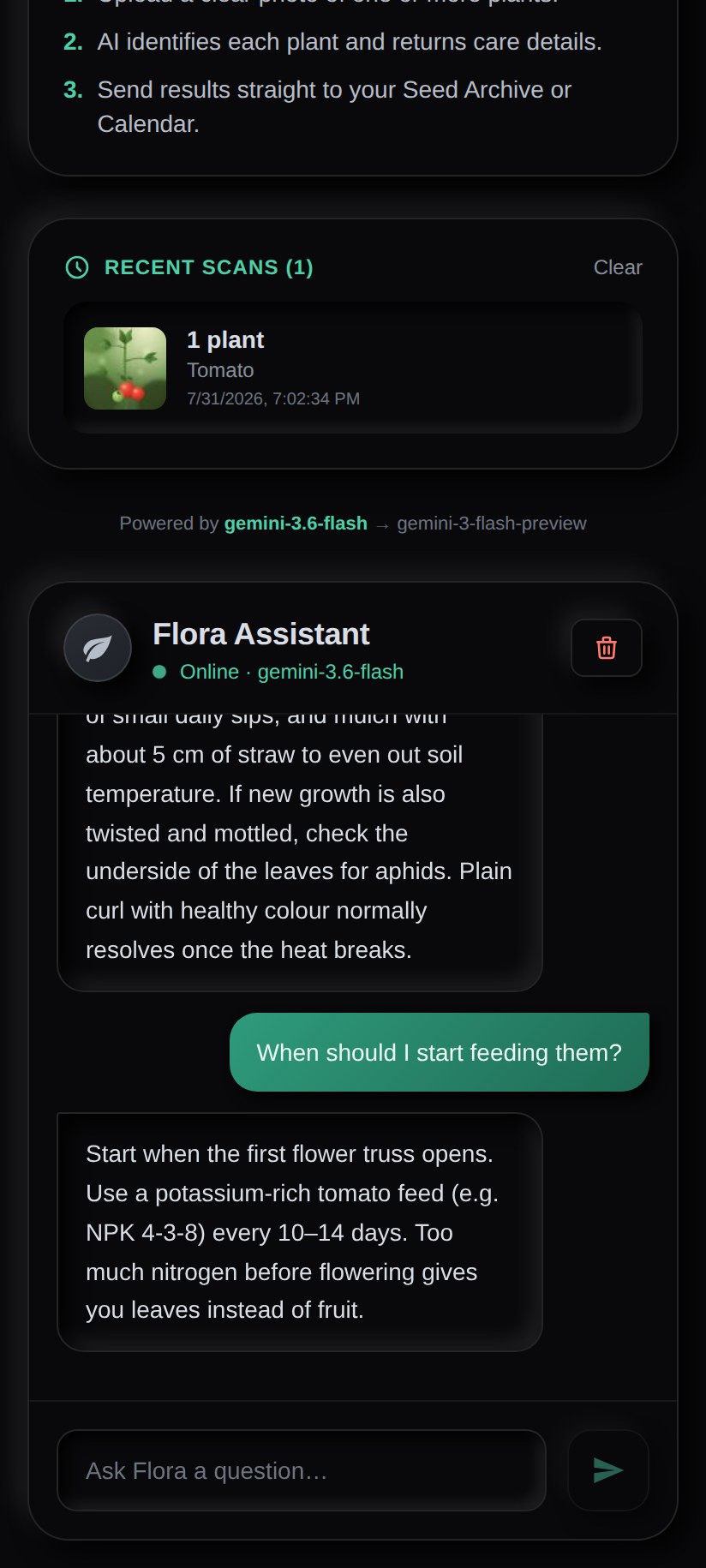 PlantID follow-up chat screen