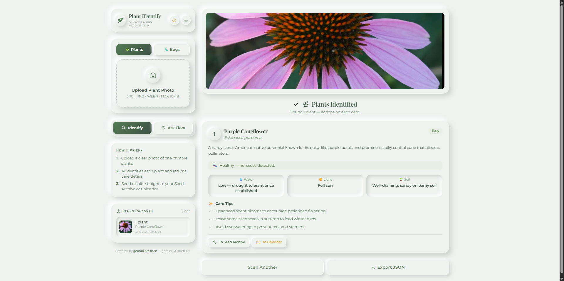GardenVision Plant Identifier showing a coneflower result and care guidance